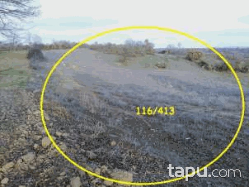 Balıkesir Altıeylül Dallımandıra Mahallesi'nde 4247 m2 Tarla (667)