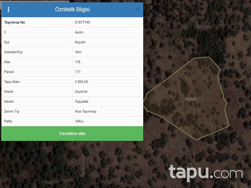 Aydın Koçarlı Yeni Mahallesi'nde 2964 m2 Zeytinlik (858)