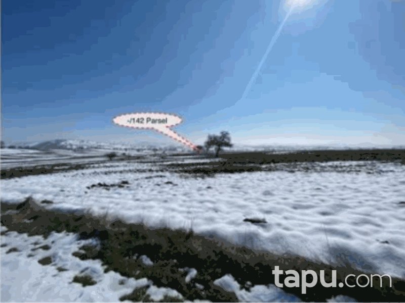 Balıkesir Karesi Şamlı Mahallesi'nde 6312 m2 Tarla (906)