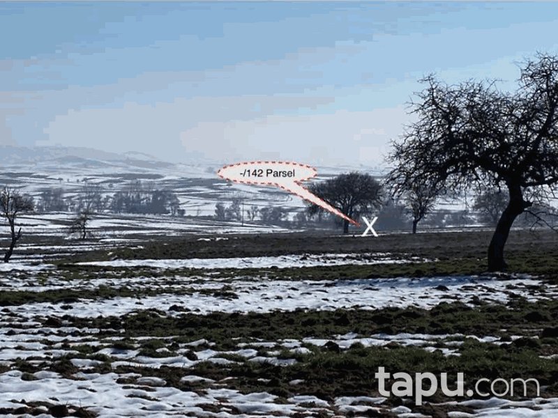 Balıkesir Karesi Şamlı Mahallesi'nde 6312 m2 Tarla (906)