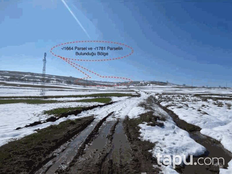 Balıkesir Karesi Şamlı Mahallesi'nde 9300 m2 Tarla (908)