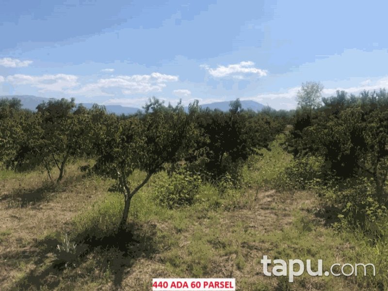 Isparta Senirkent Büyükkabaca Sultansüleyman Mahallesi'nde 3317 m2 Tarla (1065)