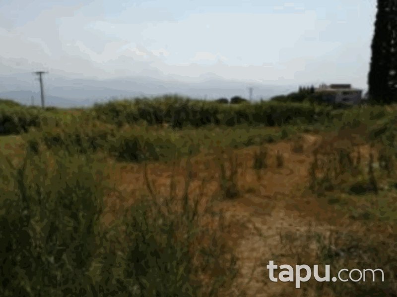 Manisa Salihli Taytan Mahallesi'nde 526 m2 İmarlı Arsa (1084)