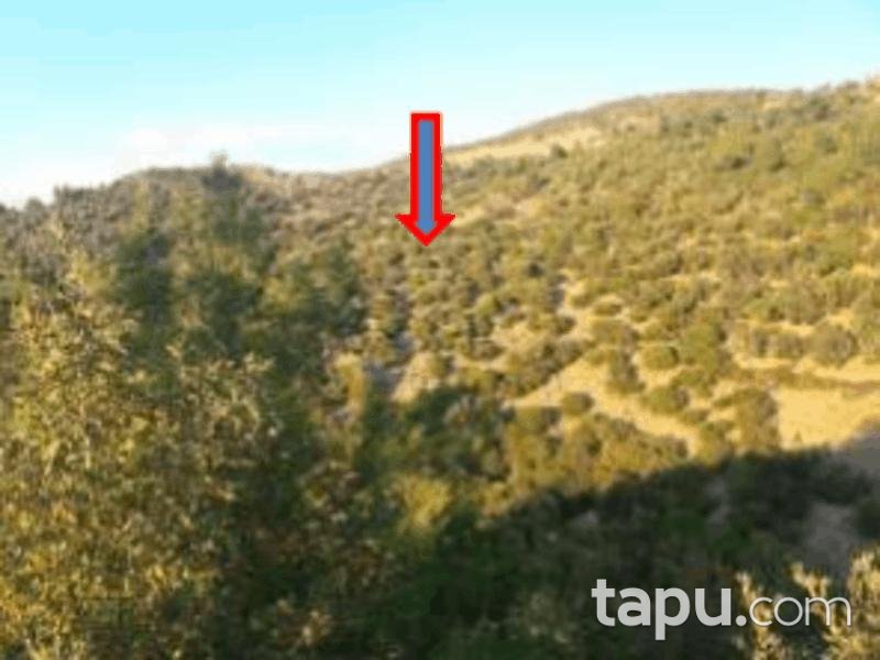 Balıkesir Burhaniye Yaylacık Mahallesi'nde 6193 m2 Tarla (1164)