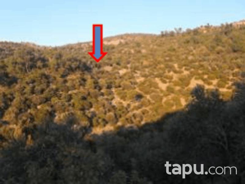 Balıkesir Burhaniye Yaylacık Mahallesi'nde 6193 m2 Tarla (1164)