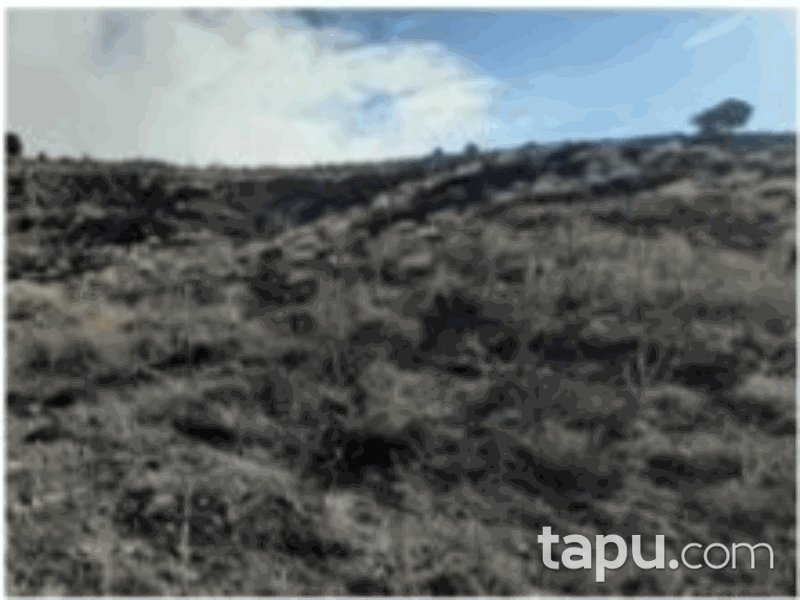Burdur Tefenni Yuva Mahallesi'nde 3460 m2 Tarla (1213)