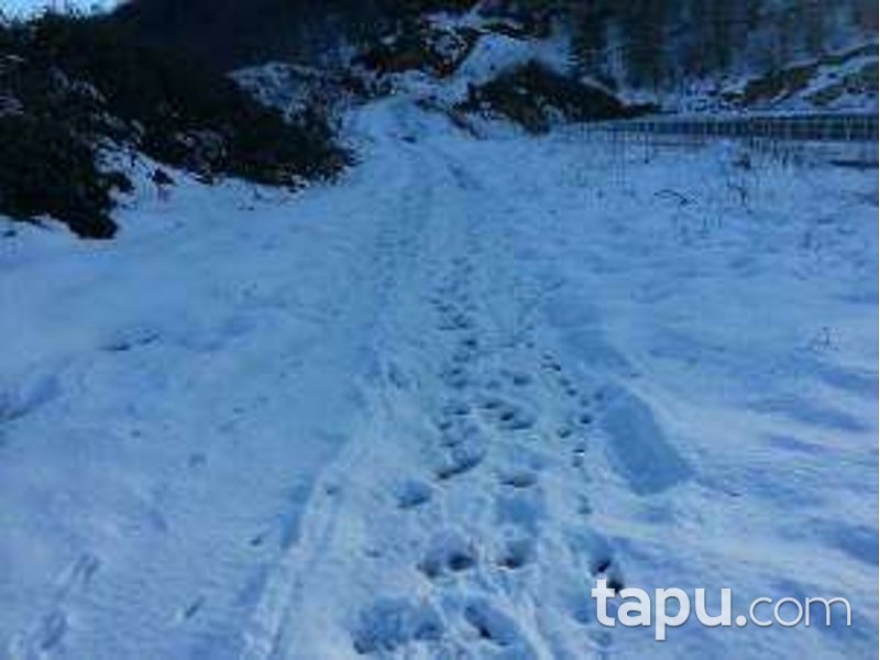 Kocaeli Karamürsel Tepeköy Mahallesi'nde 14 Dönüm Bağ