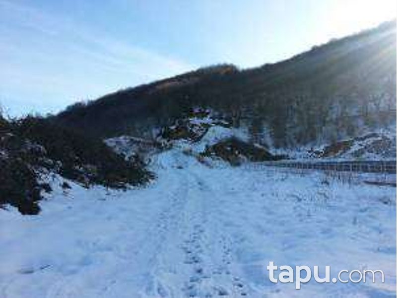 Kocaeli Karamürsel Tepeköy Mahallesi'nde 14 Dönüm Bağ