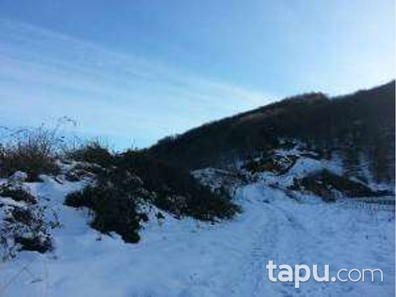 Kocaeli Karamürsel Tepeköy Mahallesi'nde 14 Dönüm Bağ