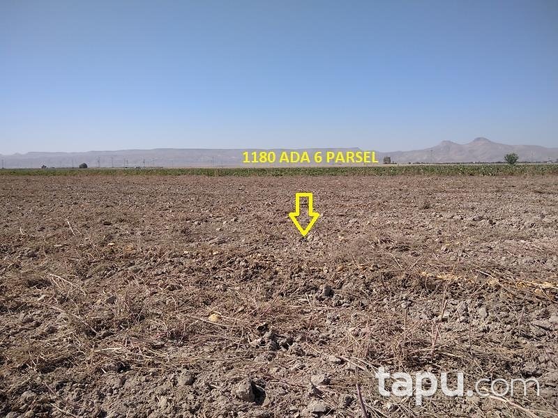 Kayseri Yeşilhisar Dağılgan Mahallesi'nde 23 Dönüm Tarla