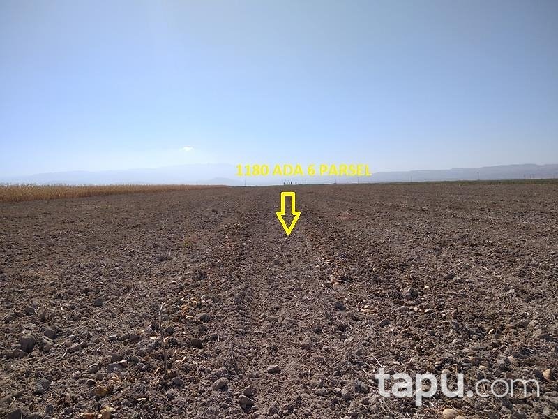 Kayseri Yeşilhisar Dağılgan Mahallesi'nde 23 Dönüm Tarla