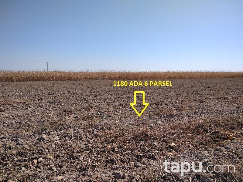 Kayseri Yeşilhisar Dağılgan Mahallesi'nde 23 Dönüm Tarla