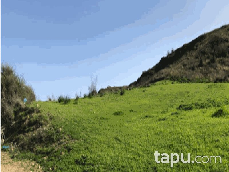 Adana Çukurova Karahan Mahallesi'nde 3 Dönüm Bağ