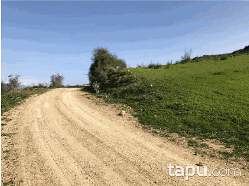 Adana Çukurova Karahan Mahallesi'nde 3 Dönüm Bağ