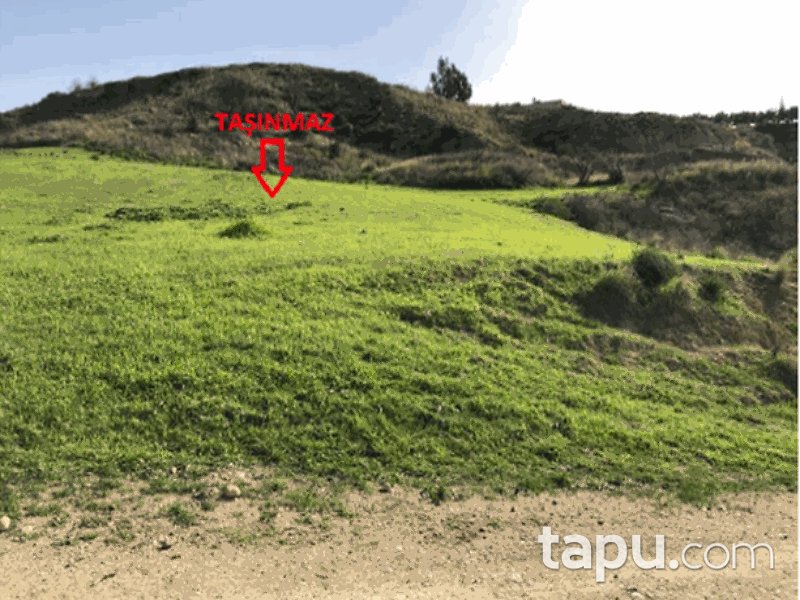 Adana Çukurova Karahan Mahallesi'nde 3 Dönüm Bağ