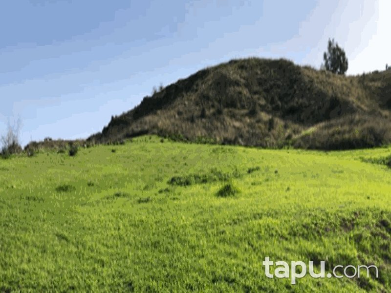 Adana Çukurova Karahan Mahallesi'nde 3 Dönüm Bağ