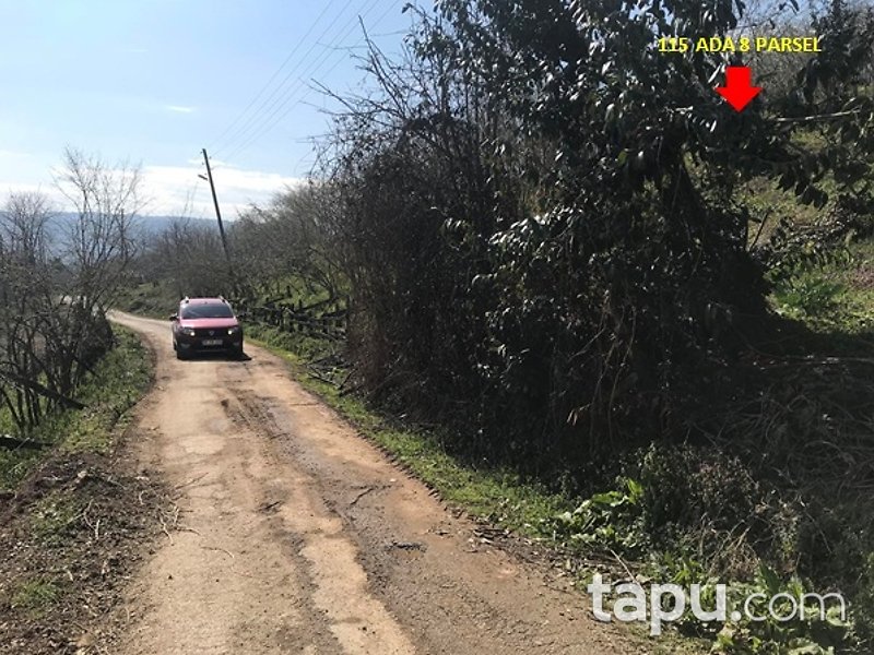 Düzce Akçakoca Tepeköy Mahallesi'nde 2 Katlı Müstakil Ev ve Arsası