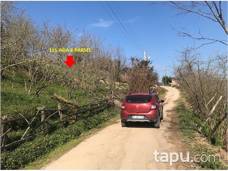 Düzce Akçakoca Tepeköy Mahallesi'nde 2 Katlı Müstakil Ev ve Arsası