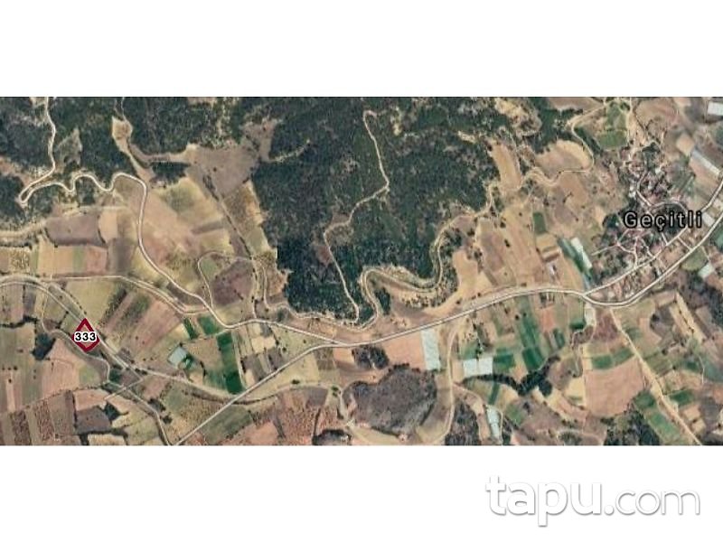 Bilecik Söğüt Geçitli Köyünde 3700 m2 Tarla