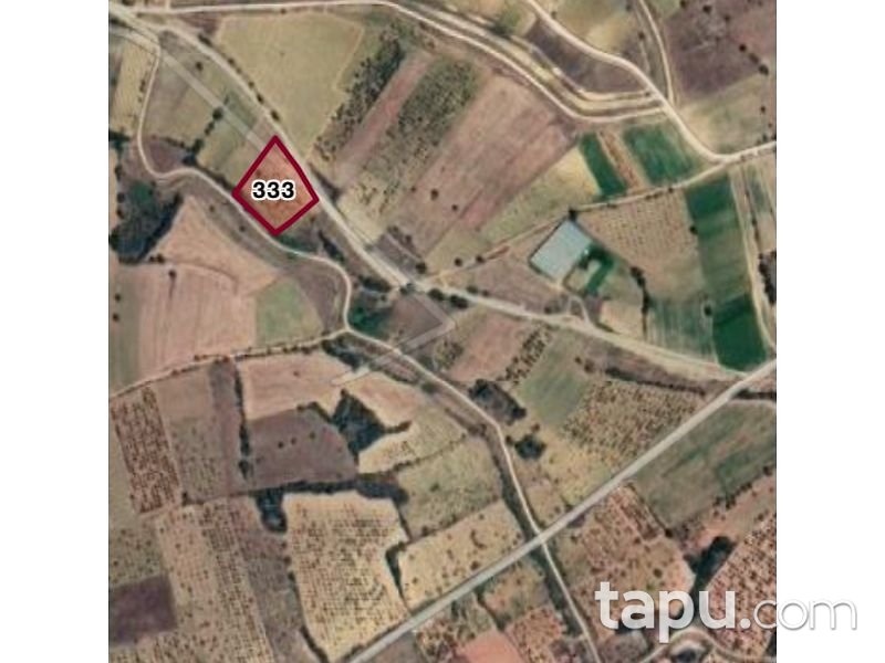 Bilecik Söğüt Geçitli Köyünde 3700 m2 Tarla