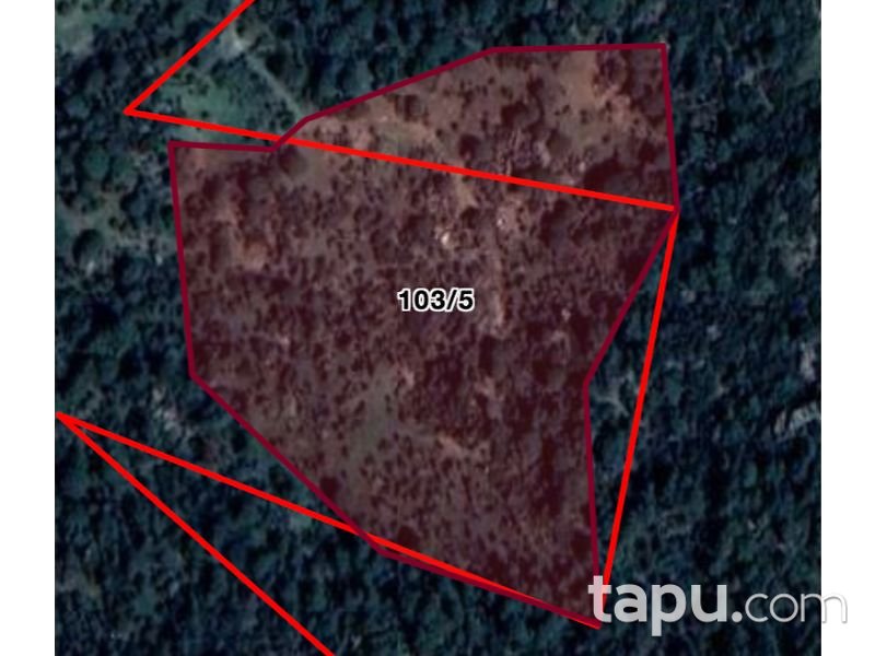 Aydın Söke Bayırdamı Mahallesi'nde 44 Dönüm Tarla