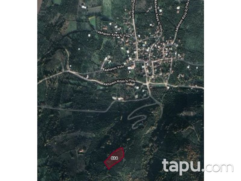 Bursa Orhangazi Akharım Mahallesi'nde 5750 m2 Zeytin Bahçesi