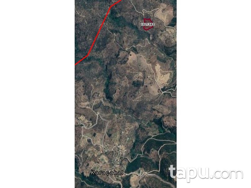 Aydın Yenipazar Karaçakal Mahallesi'nde 9.5 dönüm Zeytinlik