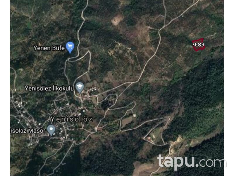 Bursa Orhangazi Yenisölöz Mahallesi'nde 5900 m2 Zeytin Bahçesi