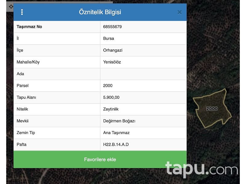 Bursa Orhangazi Yenisölöz Mahallesi'nde 5900 m2 Zeytin Bahçesi