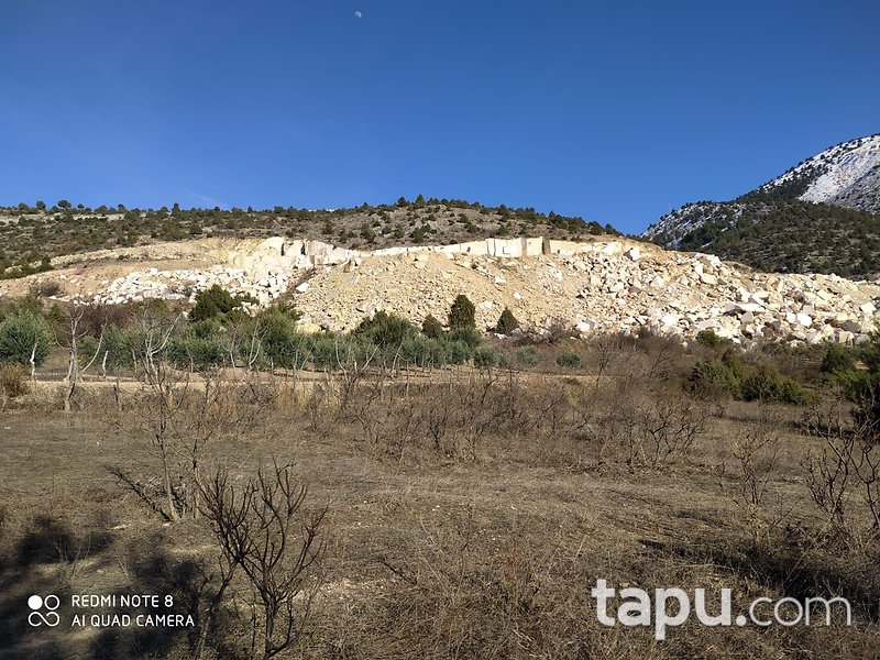 Bilecik Yenipazar Kavacık Mahallesi'nde 2045 m2 Bağ