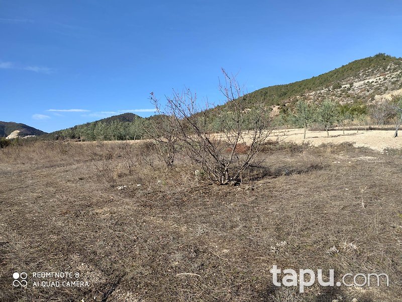 Bilecik Yenipazar Kavacık Mahallesi'nde 2045 m2 Bağ