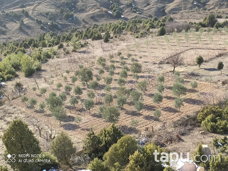 Bilecik Yenipazar Kavacık Mahallesi'nde 2045 m2 Bağ