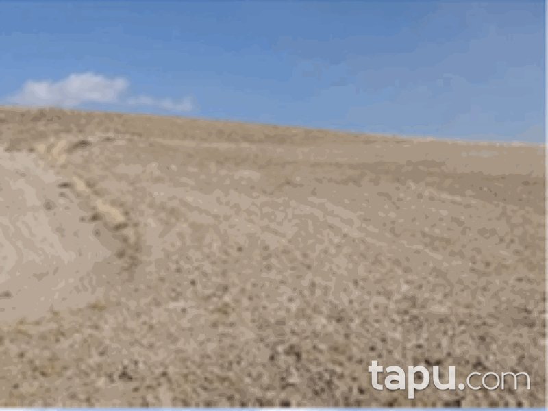 Konya Yunak Özyayla Mahallesi'nde 123 Dönüm Tarla