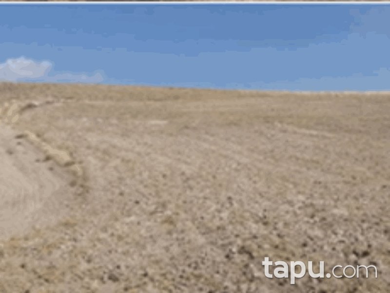 Konya Yunak Özyayla Mahallesi'nde 123 Dönüm Tarla