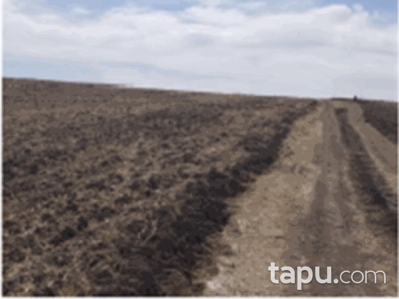 Konya Yunak Özyayla Mahallesi'nde 123 Dönüm Tarla