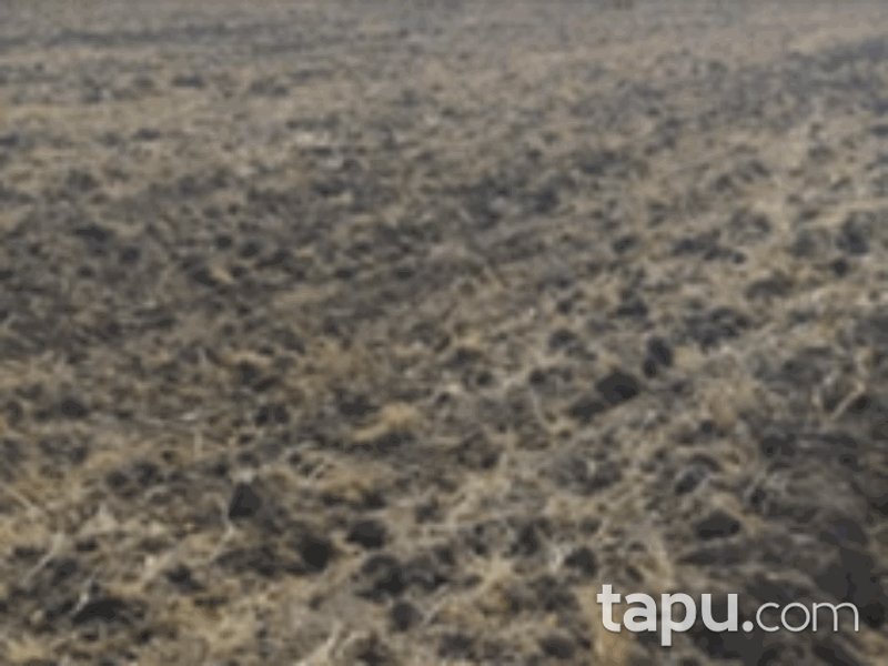 Konya Yunak Özyayla Mahallesi'nde 123 Dönüm Tarla