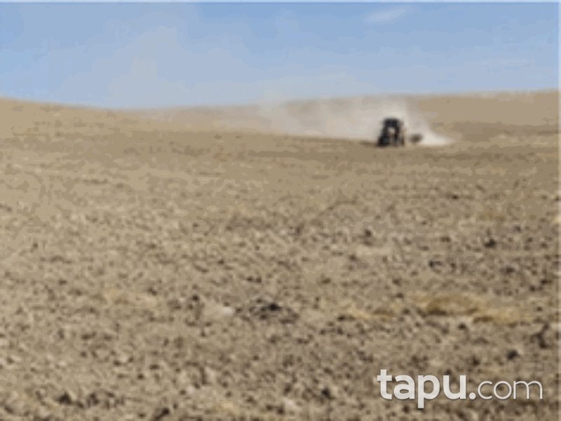 Konya Yunak Özyayla Mahallesi'nde 123 Dönüm Tarla