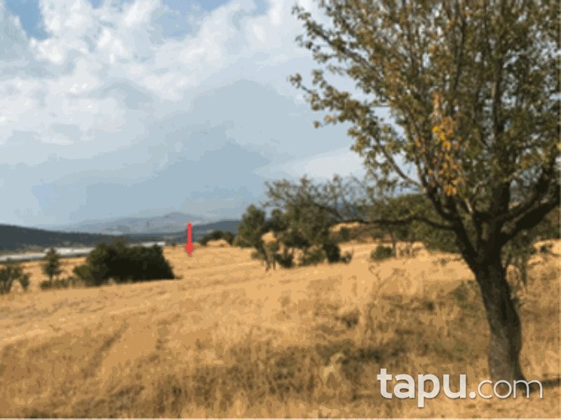 Muğla Seydikemer Doğanlar Mahallesi'nde 9153 m2 Tarla