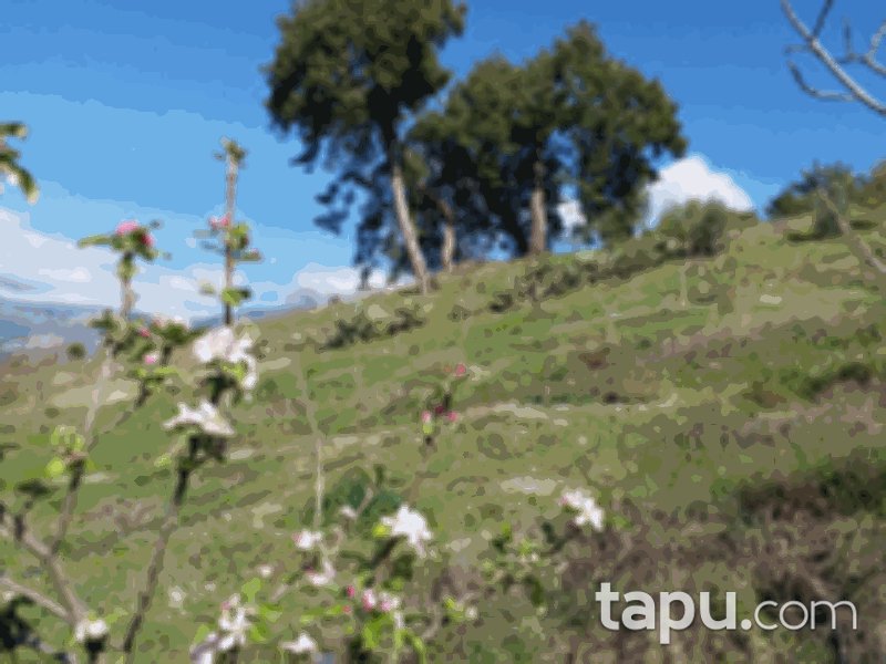 Antalya Kumluca Erentepe Mahallesi'nde 4628 m2 Tarla