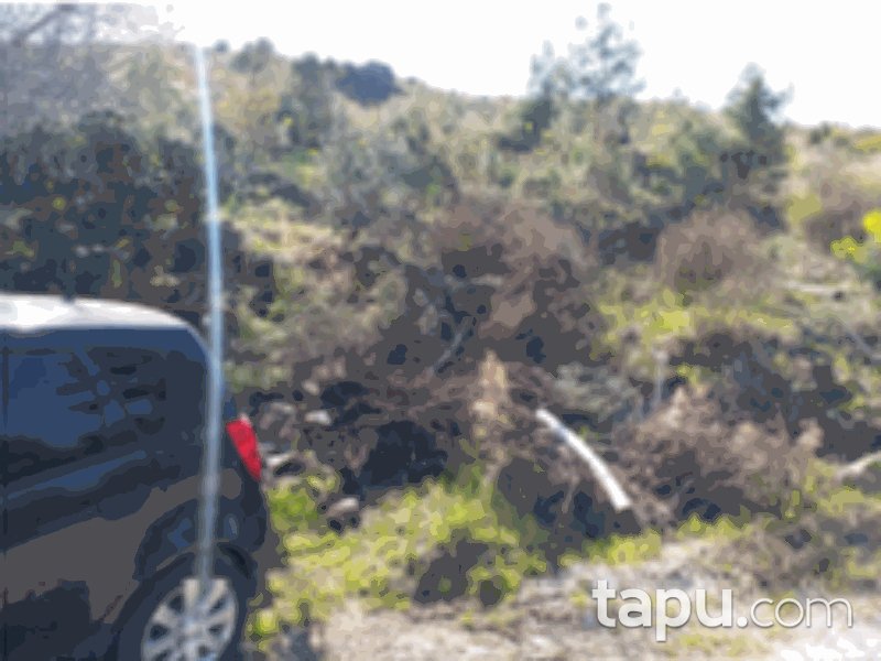 Antalya Kumluca Erentepe Mahallesi'nde 4628 m2 Tarla