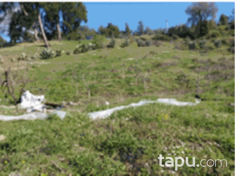 Antalya Kumluca Erentepe Mahallesi'nde 4628 m2 Tarla