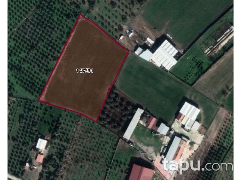 İzmir Kemalpaşa Halilbeyli Mahallesi'nde 9121 m2 Tarla