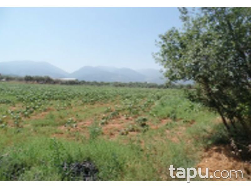 İzmir Kemalpaşa Halilbeyli Mahallesi'nde 9121 m2 Tarla