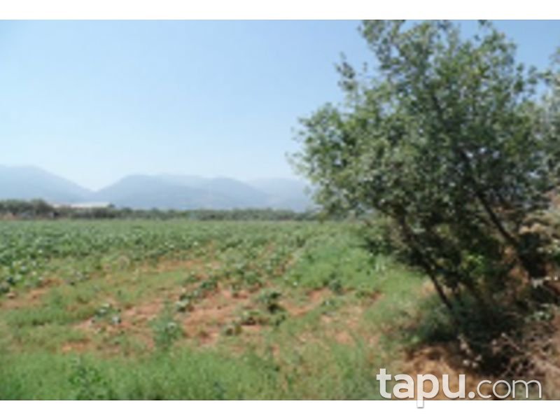 İzmir Kemalpaşa Halilbeyli Mahallesi'nde 9121 m2 Tarla