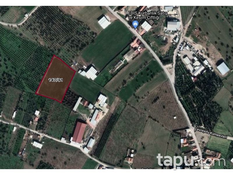 İzmir Kemalpaşa Halilbeyli Mahallesi'nde 9121 m2 Tarla