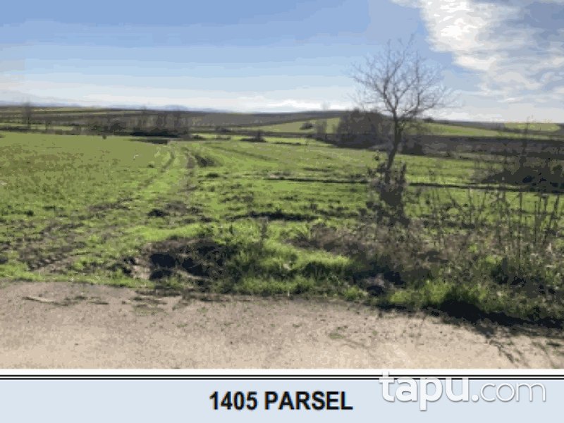 Sakarya Söğütlü İmamlar Mahallesi'nde 847 m2 Hisseli Tarla