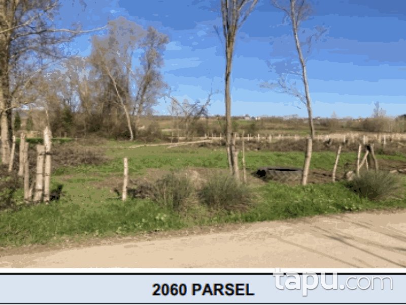 Sakarya Söğütlü İmamlar Mahallesi'nde 847 m2 Hisseli Tarla