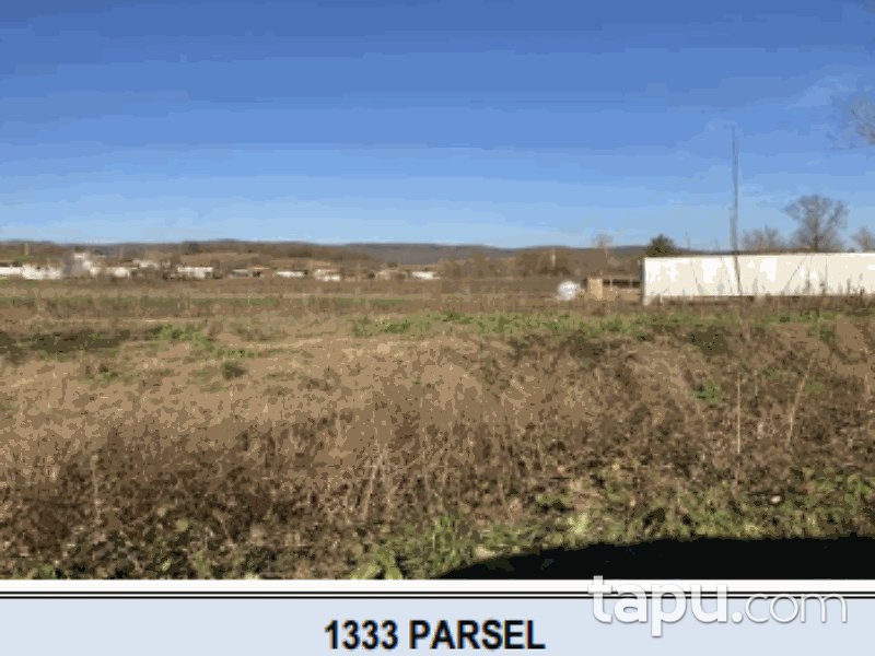 Sakarya Söğütlü İmamlar Mahallesi'nde 847 m2 Hisseli Tarla