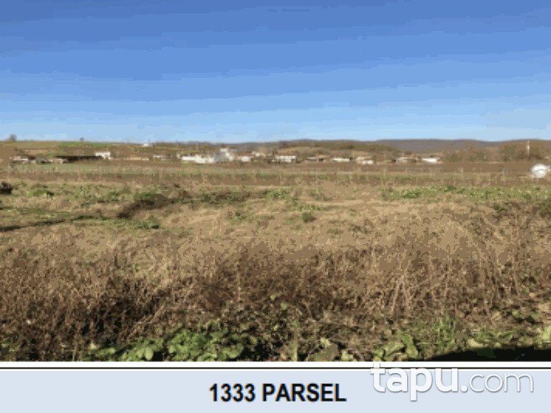 Sakarya Söğütlü İmamlar Mahallesi'nde 847 m2 Hisseli Tarla