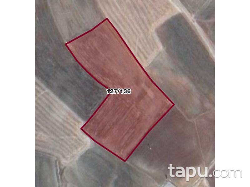 Çorum Sungurlu Akpınar Köyünde 22.383 m2 Tarla